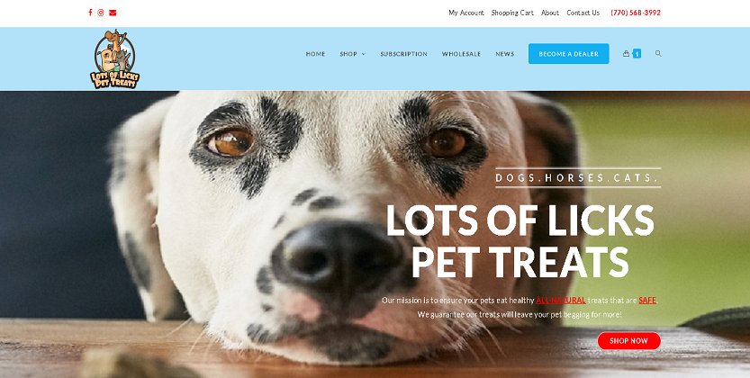 Read more about the article New Website