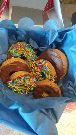 Dog Treats – Doggie Donuts