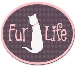 Magnets – Cat Fur Life