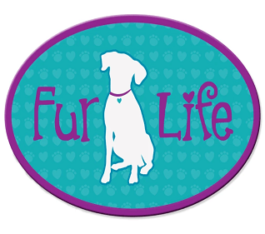 Magnets – Dog Fur Life