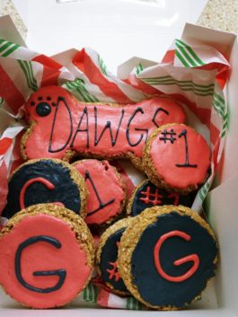 Georgia bulldog championship treats